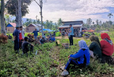 Dinas Pertanian Lebong Gropyokan Pengendalian Hama di Bingin Kuning