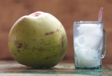 3 Khasiat Air Kelapa Campur Madu, Bantu Cegah Penuaan Dini