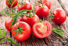  5 Makanan Punya Manfaat Mencerahkan Kulit, Cek Disini