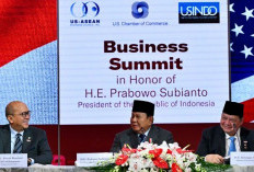 Ajak Pengusaha AS Berinvestasi di Indonesia, Prabowo Tawarkan Mineral Kritis