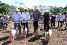 Dukung Swasembada Pangan, Polres Laksanakan Penanaman Jagung Serentak di Sukau Kayo