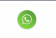WhatsApp Makin Canggih! Update Fitur Terbaru WhatsApp Beta Wajib Dicoba