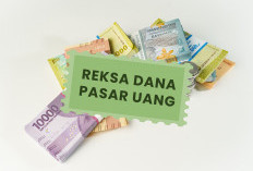 Apakah Masih Relevan untuk Berinvestasi di Reksa Dana Pasar Uang?