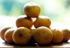 Turunkan Gula Darah dengan Rutin Mengonsumsi 4 Buah Ini