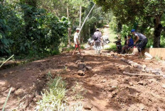 Sudah 14 Tahun Tak Diperbaiki, Jalan Bukit Ceme Makin Parah Saat Hujan