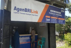  Syarat Jadi Agen BRILink 2025, Peluang Usaha Untung
