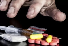 Narkoba Kratom Beredar di Indonesia, BNN Menindaklanjuti dengan Gandeng Dua Negara Ini