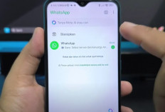 Punya Pertanyaan? Tanya Aja ke Meta AI di WhatsApp!