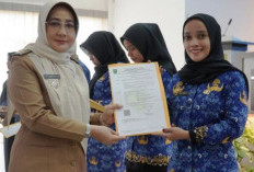 Seluruh PPPK Paruh Waktu Wajib Tahu, Ada Evaluasi Kinerja Tahunan