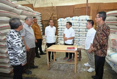 Jokowi Pastikan Stok Beras Melimpah