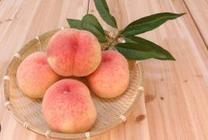 Rekomendasi Skincare Korea Dengan Kandungan Buah Peach