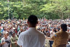 Bu Petronela Ungkap Jadwal Pendaftaran PPPK 2024, Formasi CPNS juga Banyak