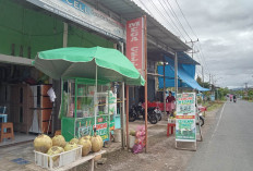 Permintaan Melonjak, Kelapa Muda Jadi Primadona Takjil Warga Lebong