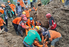 Longsor Banjarnegara: 16 Orang Masih Hilang, Operasi SAR Terakhir di Sektor C