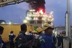 Smelter Freeport di Gresik Kebakaran, Terdengar Suara Ledakan, Pekerja Berhamburan