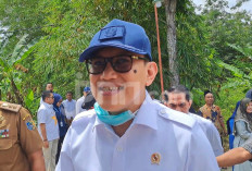 Seluruh PMI di Kamboja Ilegal, Banyak Terjebak Judi Online & Penipuan