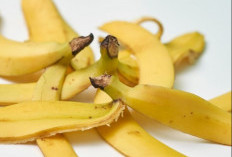 Perawatan Wajah Pakai Kulit Pisang Bisa Menjadi Botox Alami, Fakta atau Mitos? 