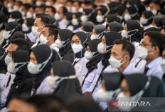 Info Terbaru dari BKN untuk Peserta Seleksi PPPK Tahap 2 di 53 Tilok, Penting