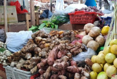 5 Manfaat Temulawak, Baik untuk Kesehatan Pencernaan