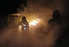 200 Hektare Lahan di Ogan Ilir Terbakar