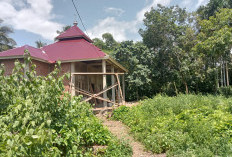 Mushollah Dusun I Belum Selesai, Desa Karang Anyar Fokus Bangun Jalan Pendukung
