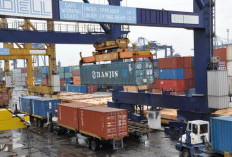 Terbitkan Izin Fasilitas KITE, Bea Cukai Memperkuat Industri Pulp dan Kertas Nasional