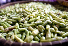 Atasi Peradangan dengan Mengonsumsi 4 Herbal Ini