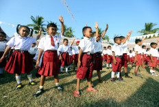 Sumber Zat Besi dari Brokoli Sangat Penting bagi Perkembangan Anak