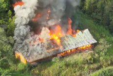 KKB Kembali Bakar Gedung Sekolah di Kiwirok