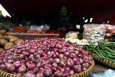 4 Manfaat Bawang Merah, Baik untuk Kesehatan Otot