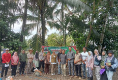Desa Ujung Tanjung III Dukung Program Sadesahe dengan Tanam Jagung