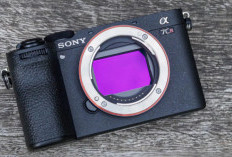 Fitur Kamera Baru Sony Alpha 7C II dan Alpha 7CR