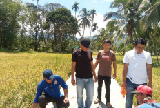 BPD Lemeupit Tak Awasi Proyek Rabat JUT, Ini Pengakuan dan Alasan Resminya