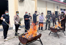 Ini Wujud Komitmen Bea Cukai Teluk Bayur Bersinergi dalam Pemberantasan Narkotika