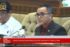 6 Kesepakatan DPR & MenPANRB, Seluruh Honorer Diangkat PPPK, Batasan 30% Belanja Pegawai Dihapus