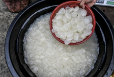 Manfaat Kolang-Kaling untuk Kesehatan Lutut: Fakta dan Kandungan Nutrisinya