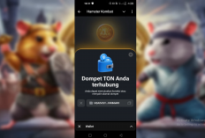 Cara Mengatasi Hamster Kombat Tidak Terhubung ke Wallet Telegram 