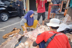 Momen Iduladha Jadi Berkah Bagi Penjual Kulit Hewan Musiman