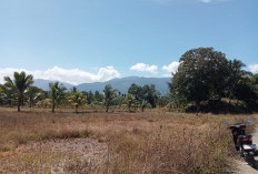 Kekeringan Mulai Mengancam, 10 Hektar Sawah di Lebong Tengah Kesulitan Air
