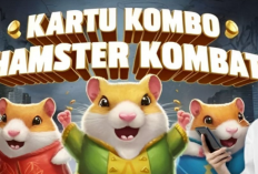 Rahasia Mendapatkan Tiga Kartu Kombo Hamster Kombat Setiap Hari dan Raih Jutaan Koin!