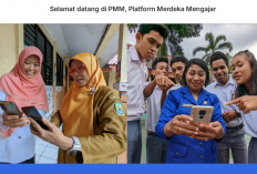 Cara Daftar dan Login ke Aplikasi Platform Merdeka Mengajar (PMM) Menggunakan HP Android