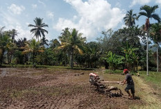 Petani Karang Anyar Siap Garap Musim Tanam Pertama Usai Sukses di MT2