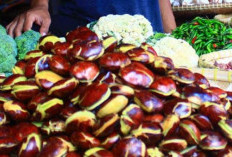 7 Manfaat Jengkol, Bantu Kontrol Gula Darah