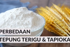 Perbedaan Tepung Terigu dan Tepung Tapioka