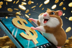 Daily Cipher Harian Hamster Kombat Rabu 3 Juli 2024: Dapatkan Koin Bonus Mudah!