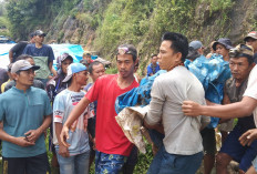 Lebong Kembali Berduka, Penambang Dikabarkan Tewas Tertimbun di Lobang Kacamata