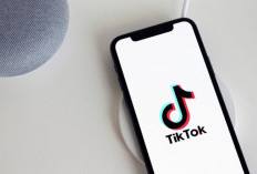 Download Video Tanpa Watermark, Jangan Lupa Hormati Hak Cipta