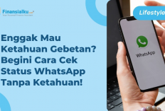 5 Cara Efektif Melihat Status WhatsApp Tanpa Ketahuan