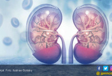 Jaga Kesehatan Ginjal dengan Menggunakan 3 Cara Alami Ini
