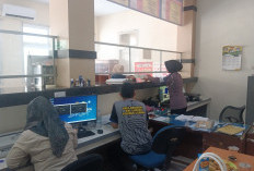 Per Mei, Realisasi PKB Tembus Rp 1,5 Miliar